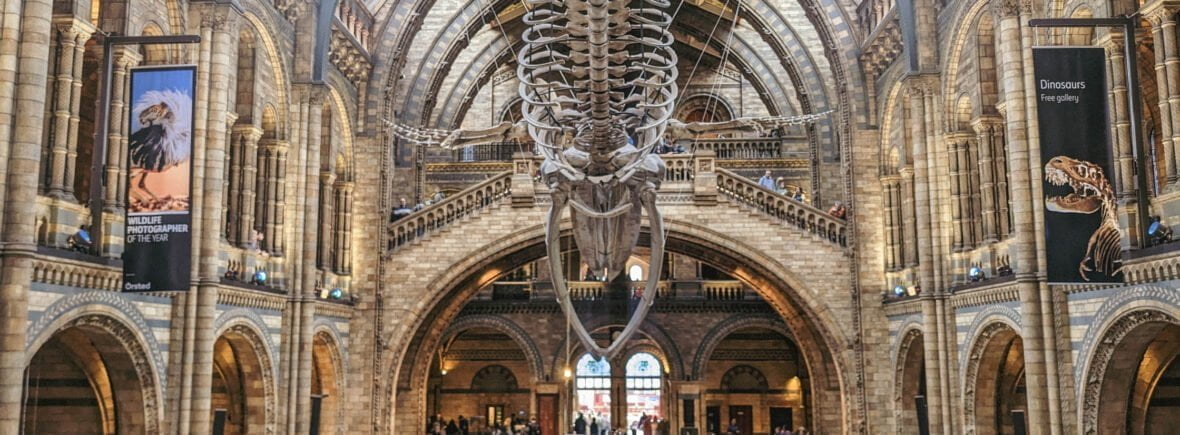 倫敦自然歷史博物館Natural History Museum