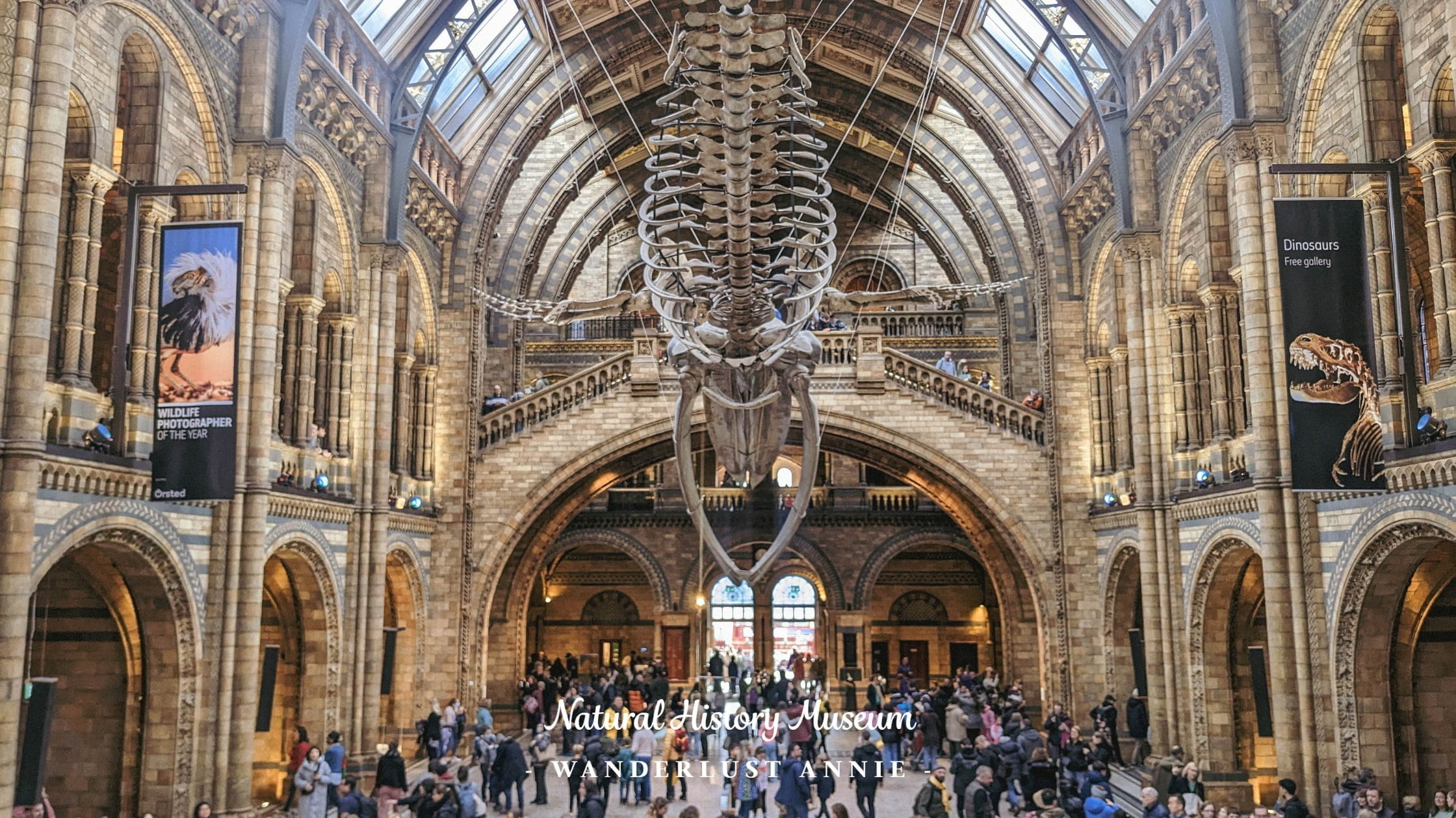 倫敦自然歷史博物館Natural History Museum