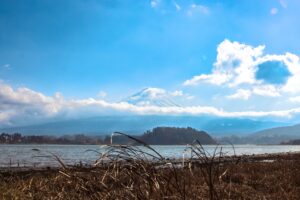 河口湖 大石公園 富士山