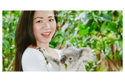 在黃金海岸景點推薦:Wanderlust Annie 實測可倫賓野生動物保護區,體驗合法抱無尾熊與深度生態保育