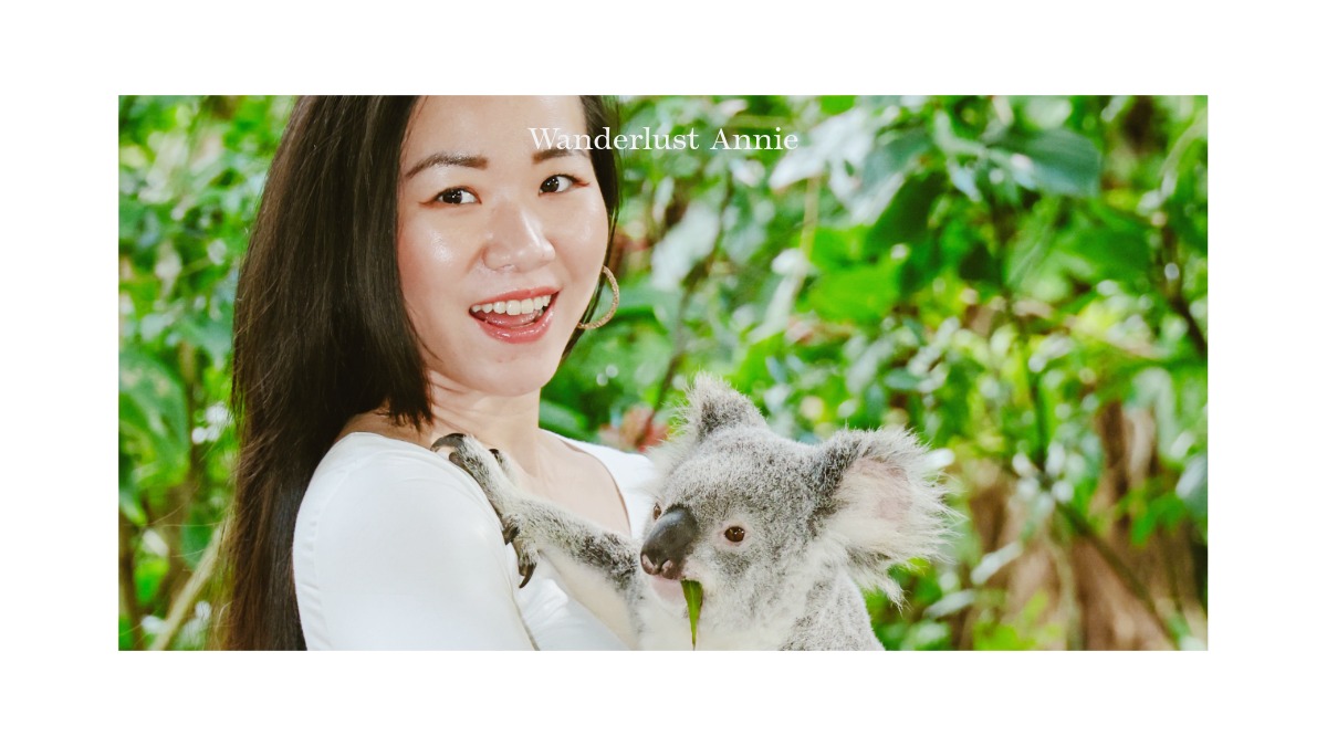 在黃金海岸景點推薦:Wanderlust Annie 實測可倫賓野生動物保護區,體驗合法抱無尾熊與深度生態保育