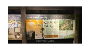【黃金海岸秘境】走進地上的繁星：春溪國家公園野生藍光蟲導覽與演化思辨