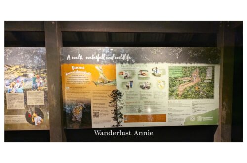 【黃金海岸秘境】走進地上的繁星:春溪國家公園野生藍光蟲導覽與演化思辨